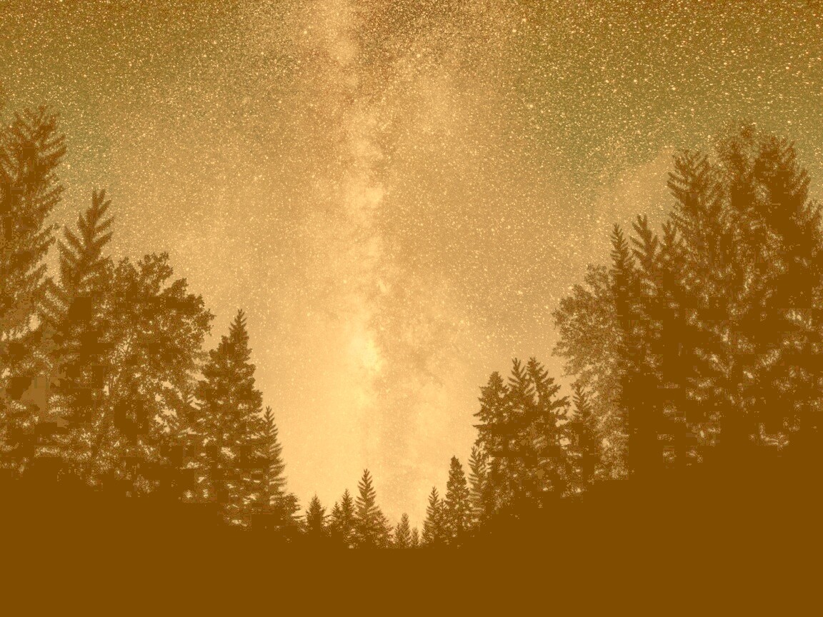 Лесной пейзаж обои