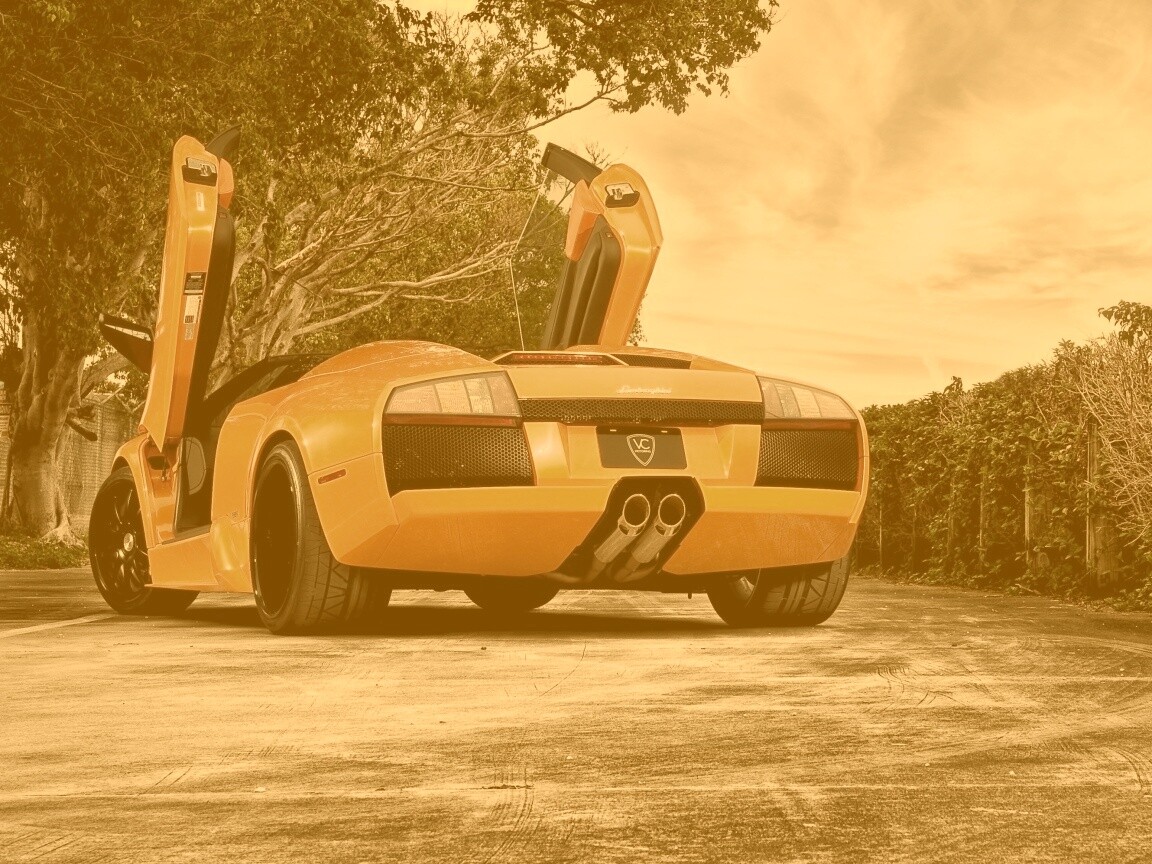 Оранжевая Мюрселаго обои