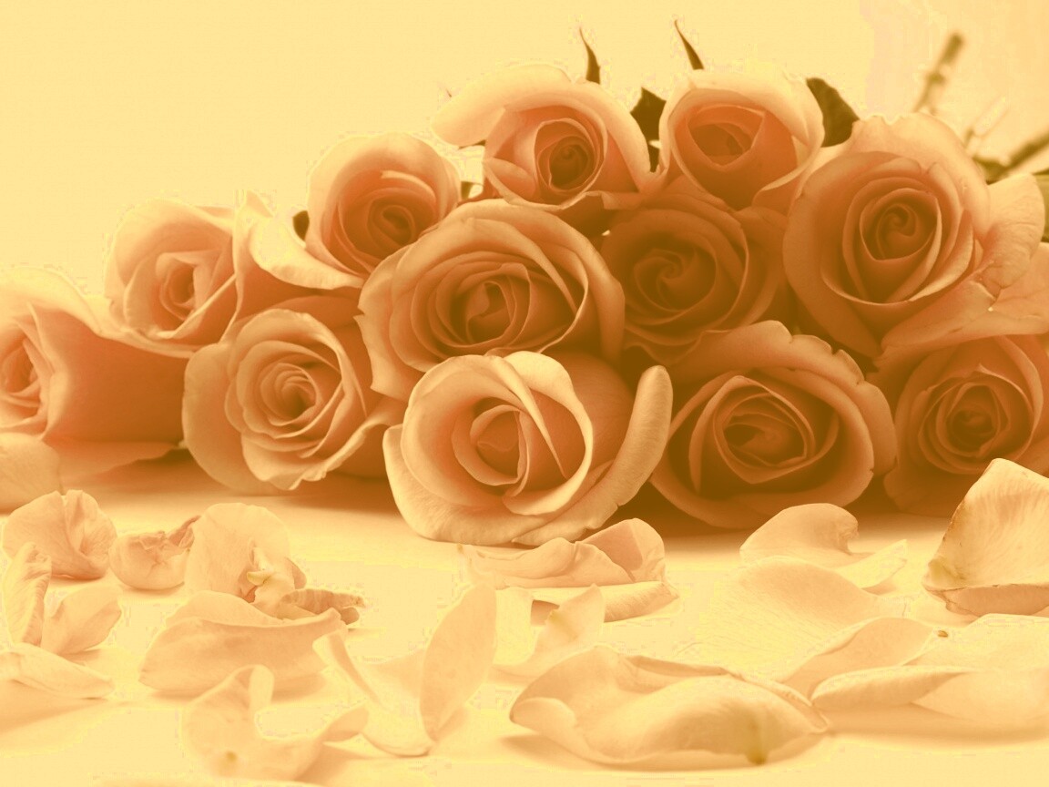 Букет роз обои