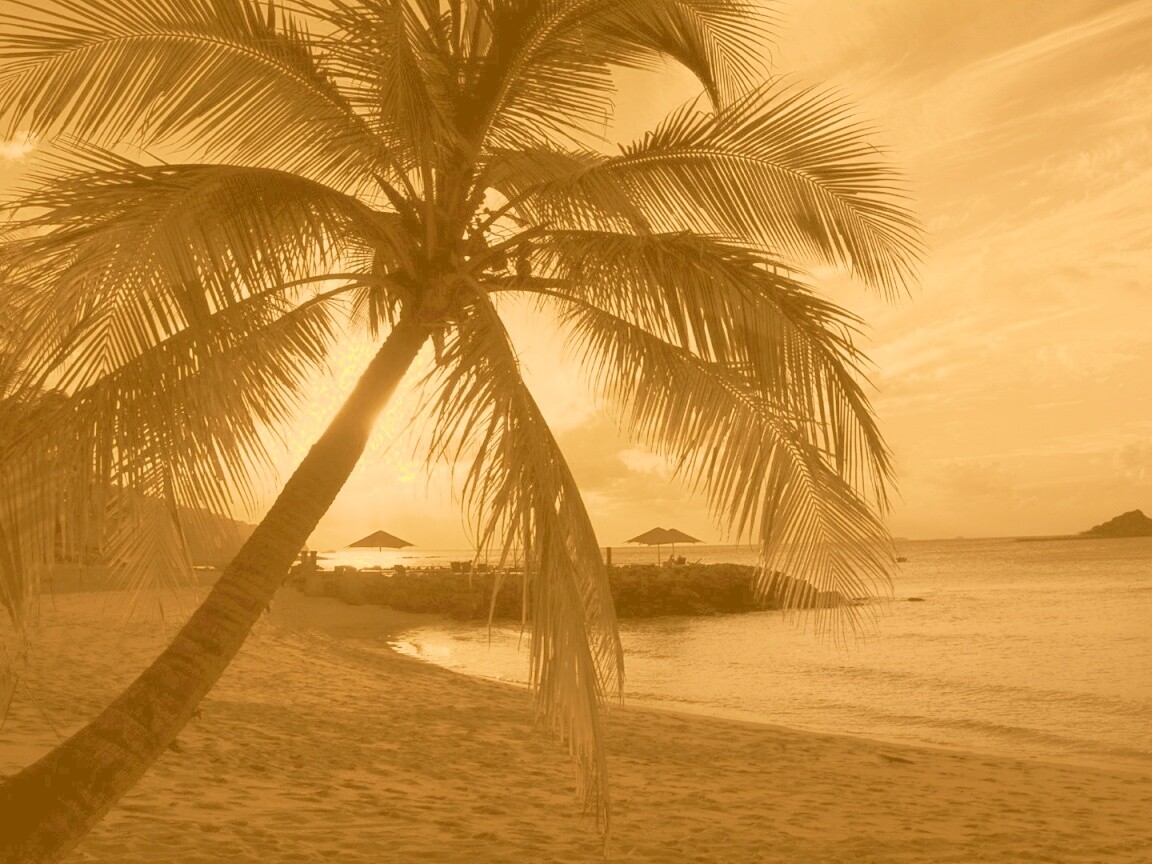 Пляж на закате обои