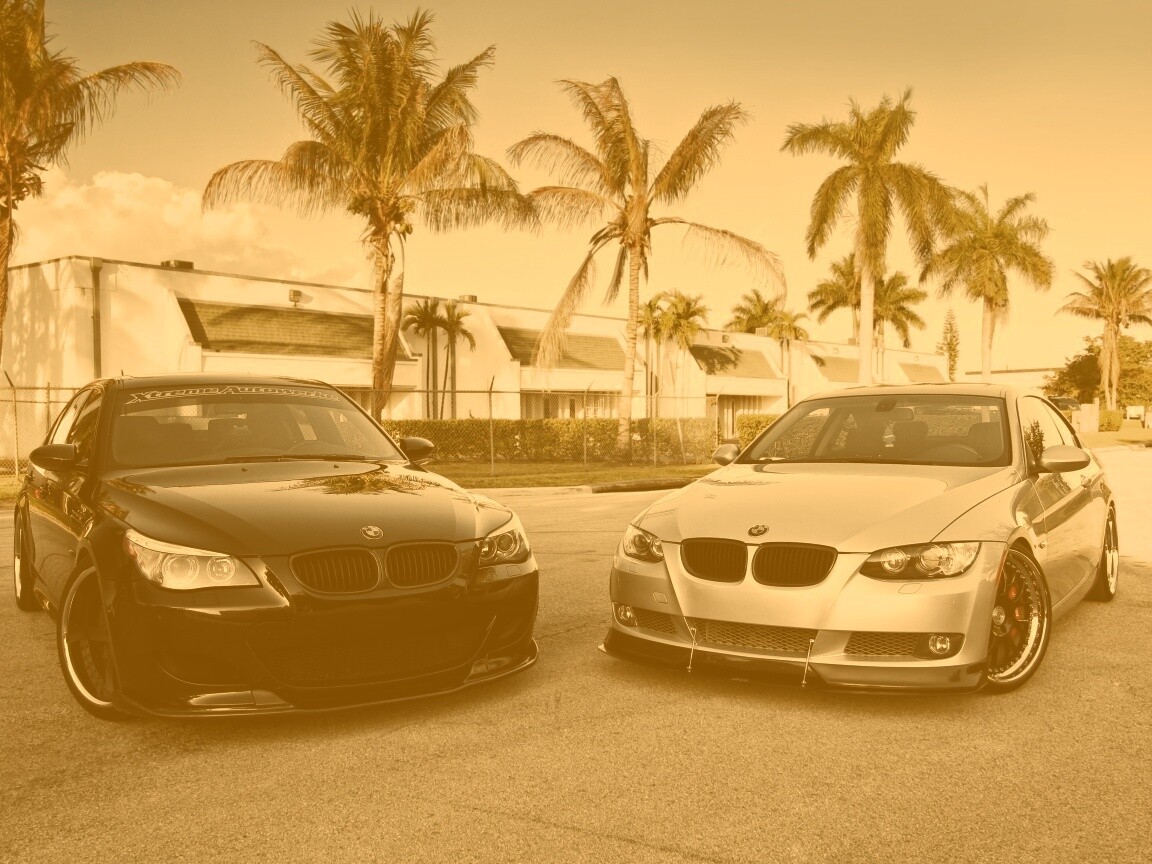 Две БМВ обои