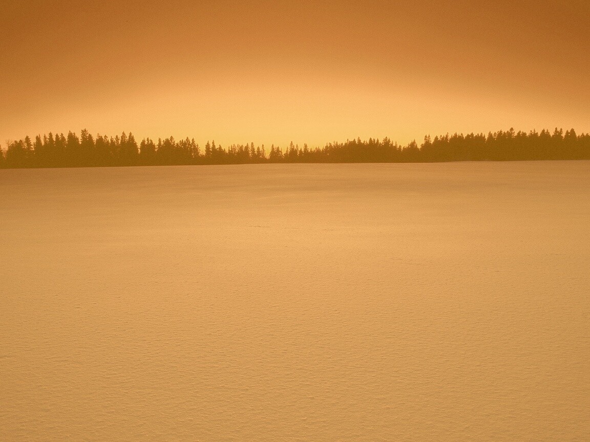 Восход над заснеженным лесом обои