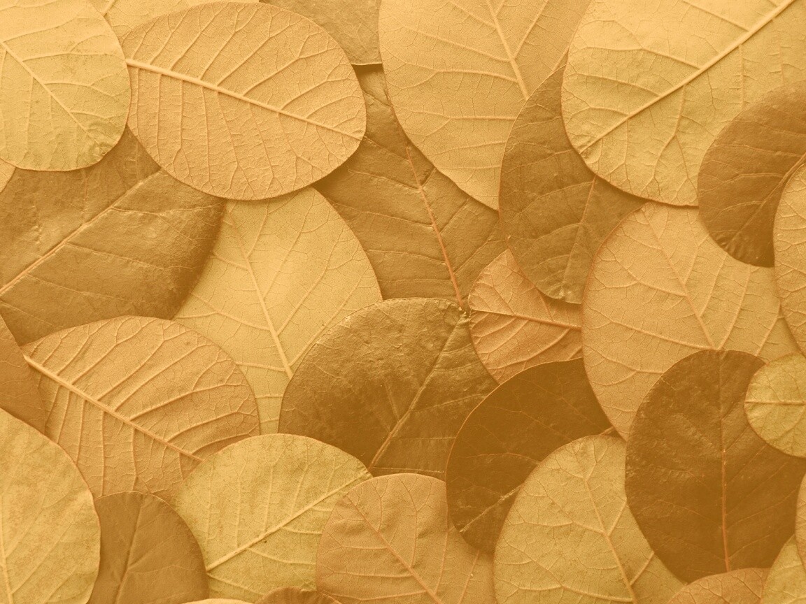 Лиственный узор обои