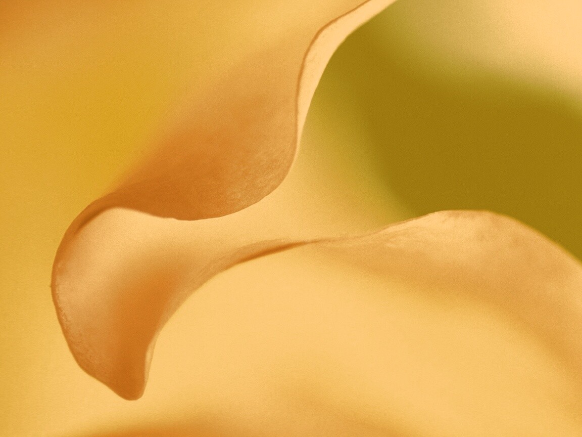 Оттенки природы обои