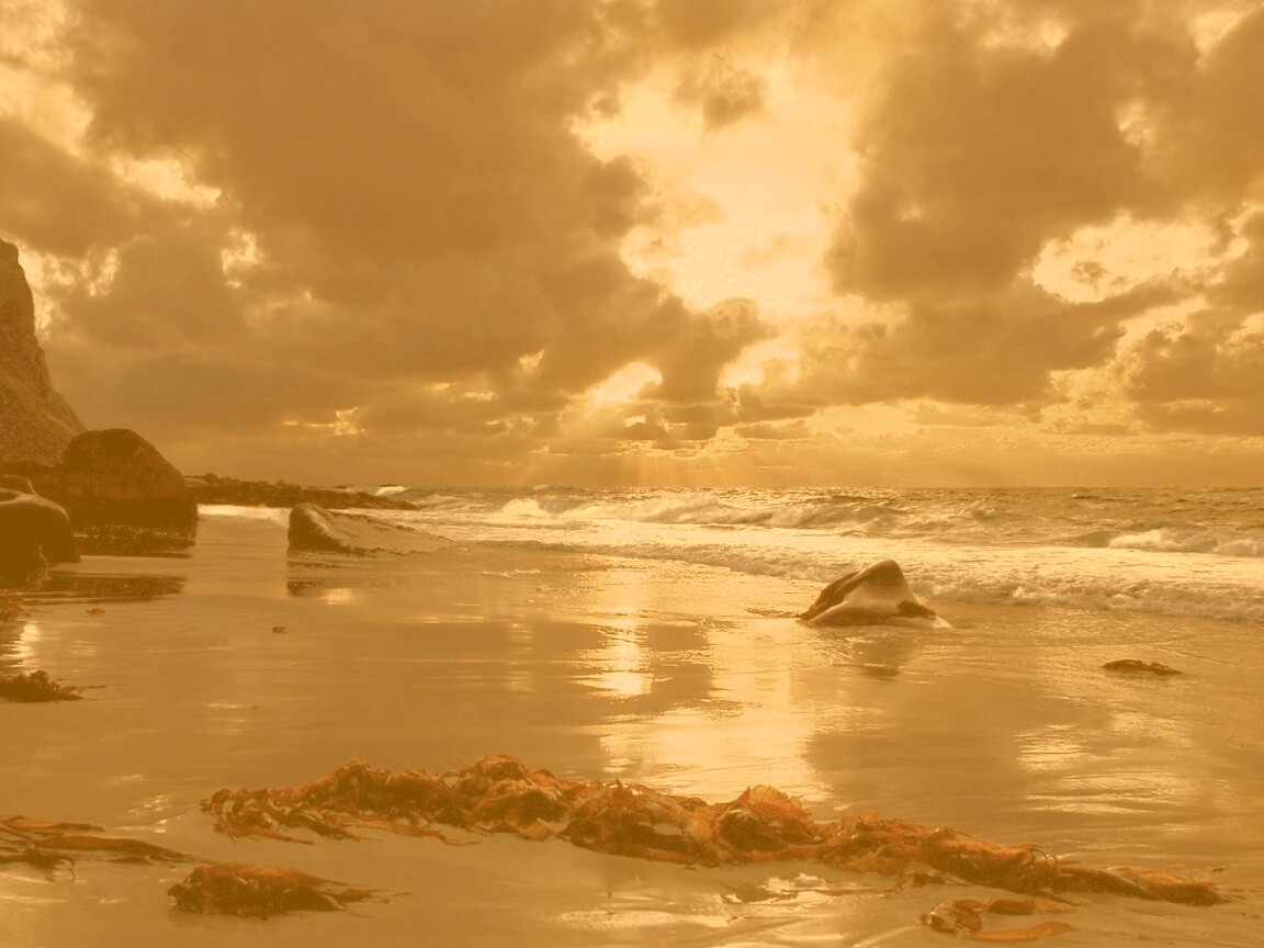 Океанский берег на закате обои