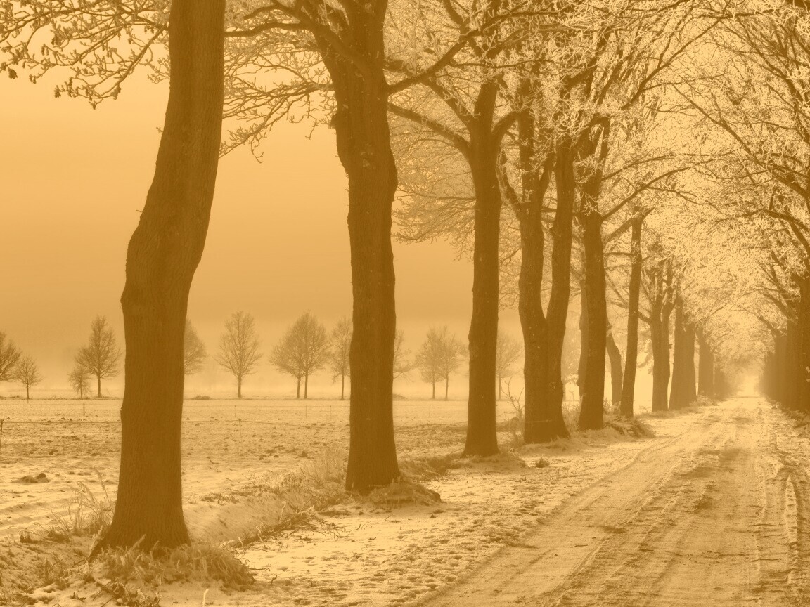 Морозное утро обои