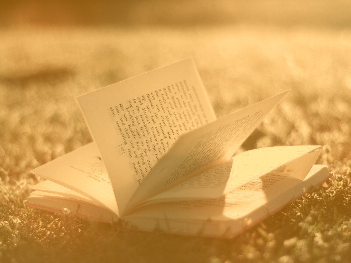 Книга в нежном свете обои