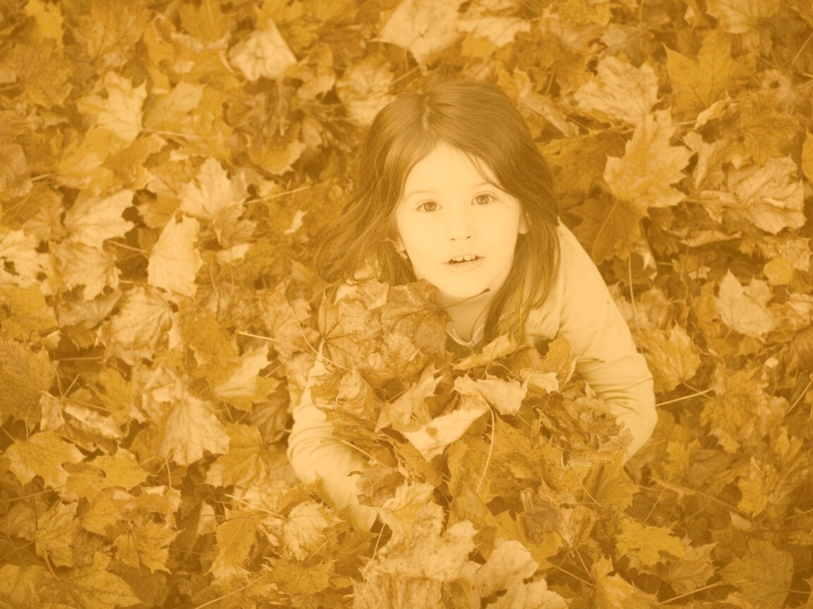 Девочка и осень обои