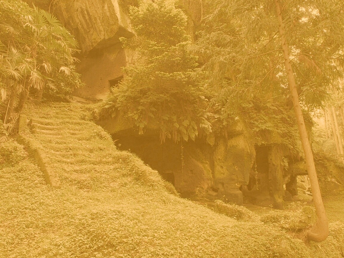 Старинный лесной храм обои