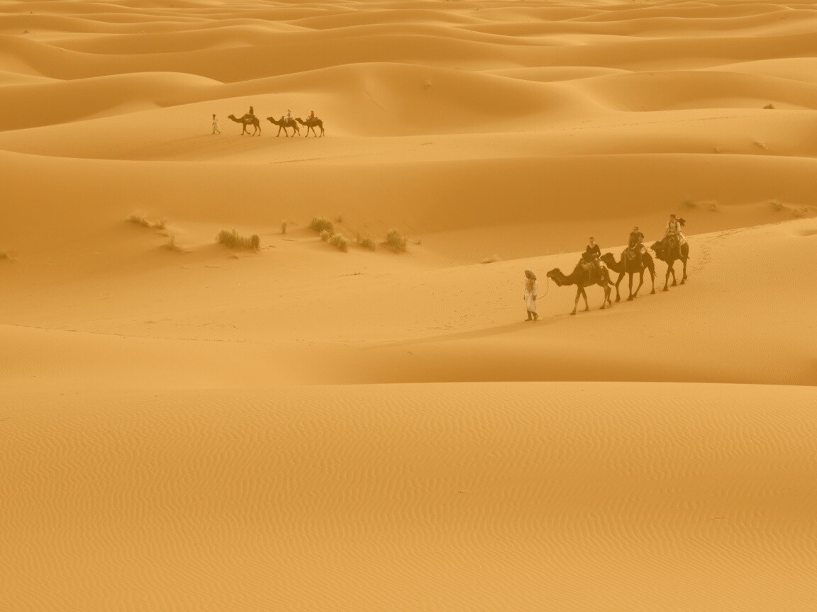 Караваны пустыни обои