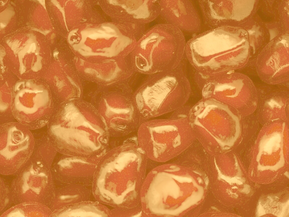 Ядра граната обои