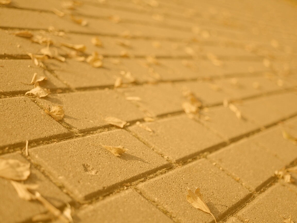 Тротуар обои