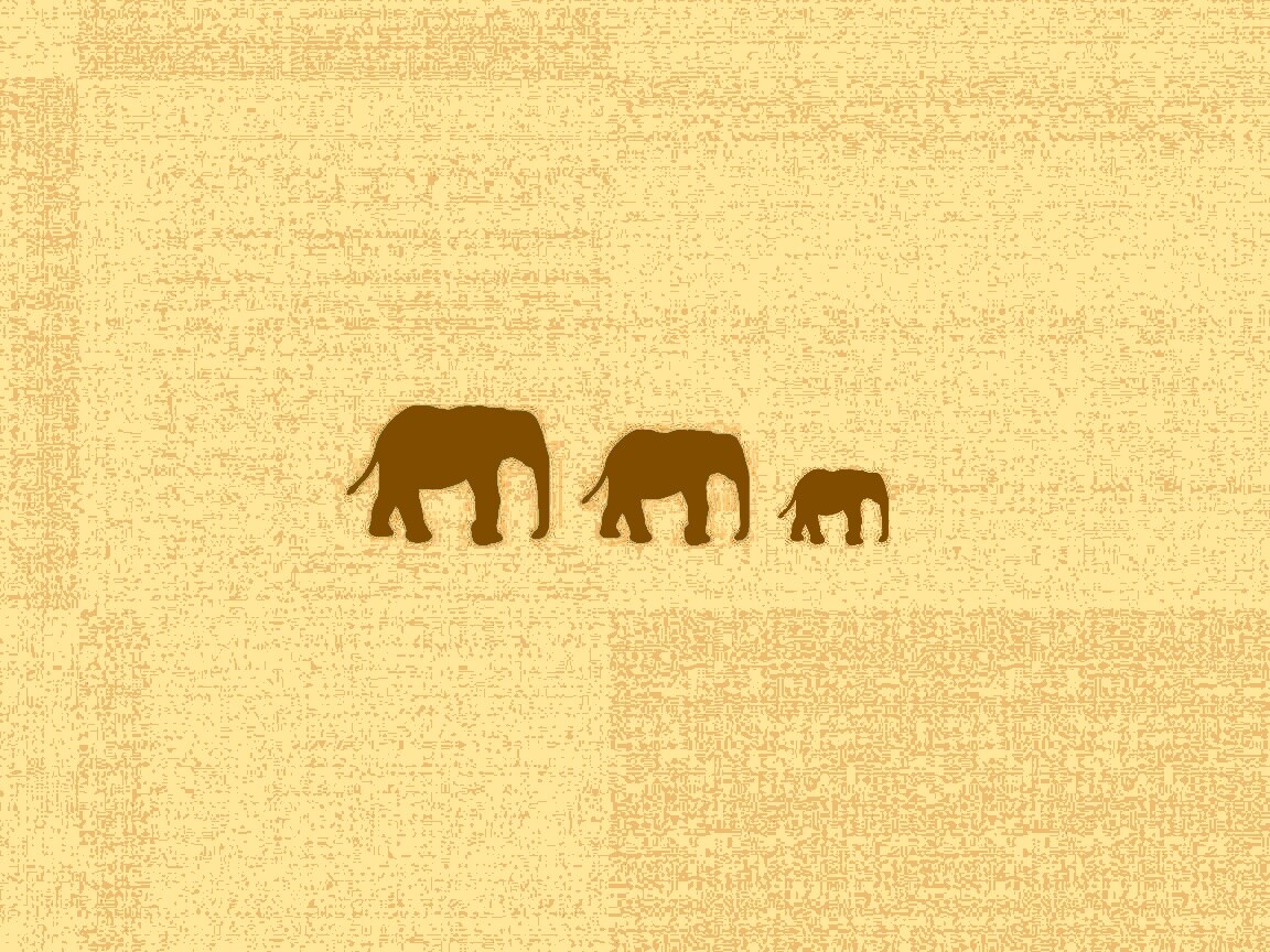 Вереница слонов обои