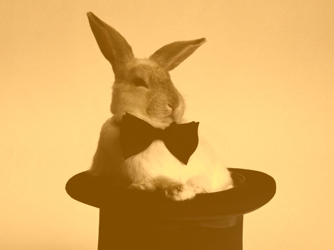 Кролик в цилиндре фокусника обои