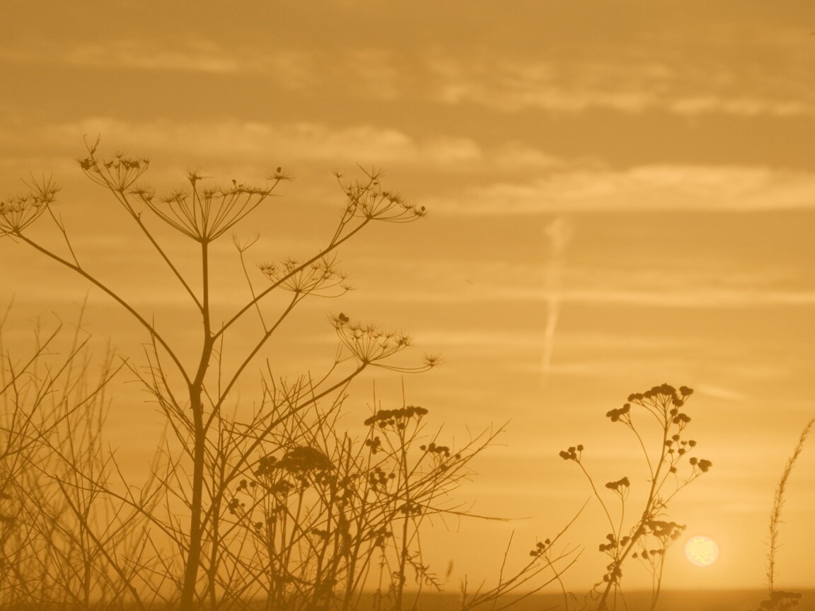 Степной закат обои