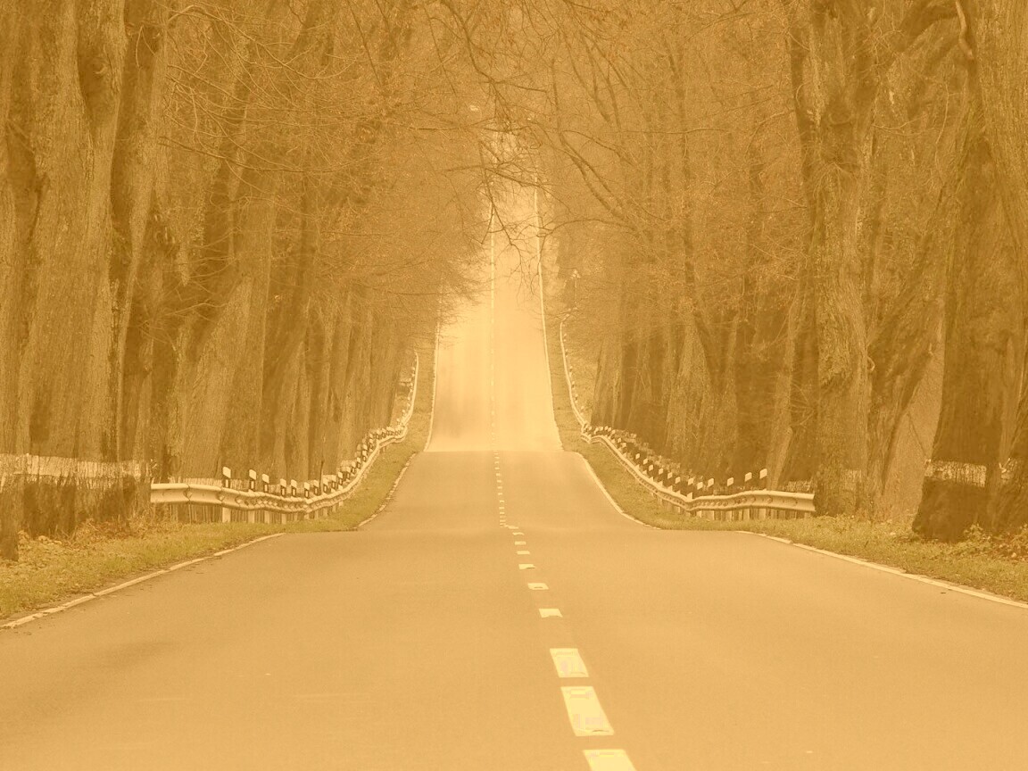 Дорога уходит ввысь обои