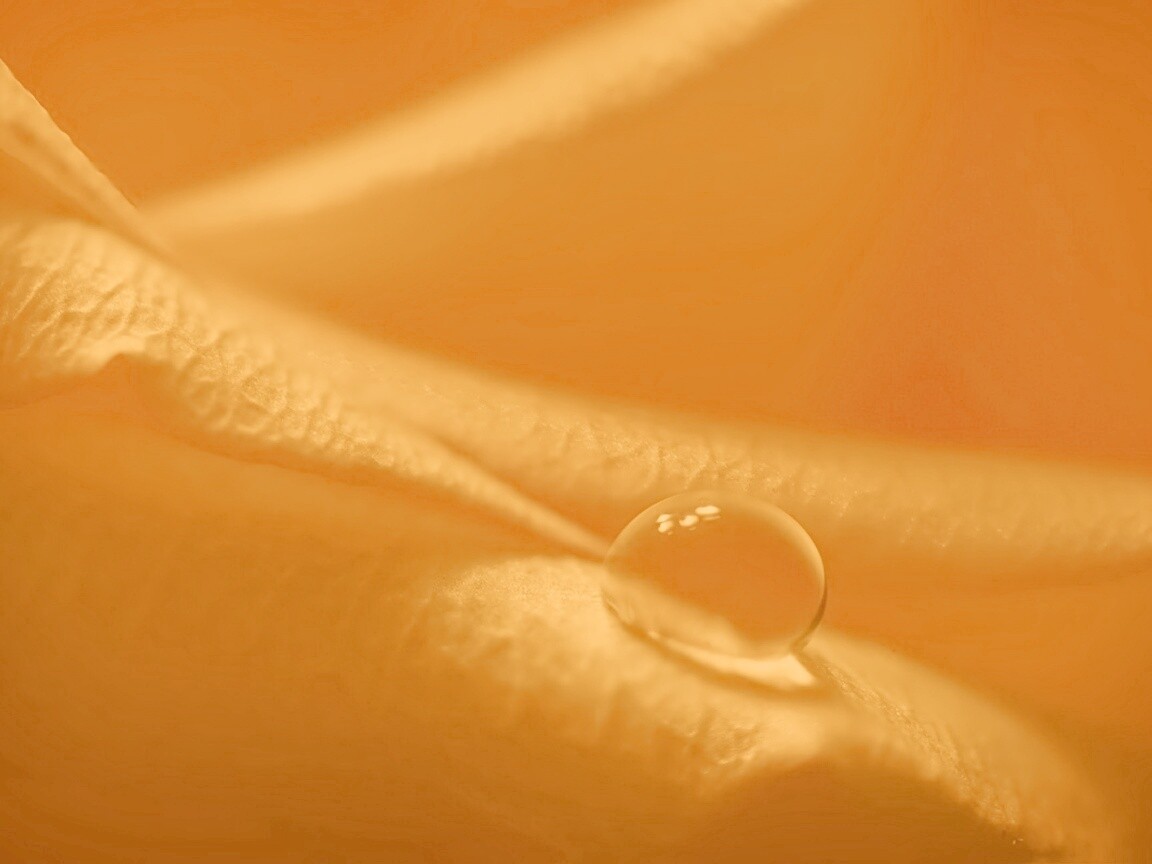 Капелька обои