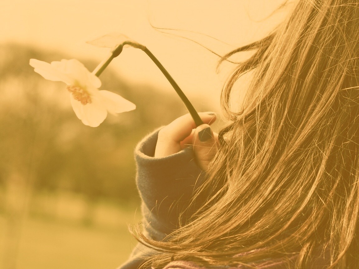 Девушка с нарциссом в руке обои