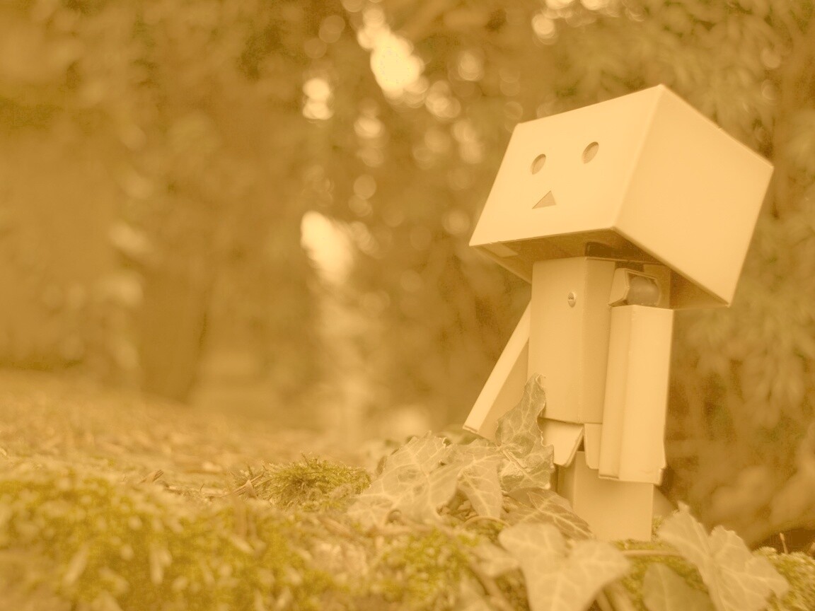 Danbo смотрит вверх обои