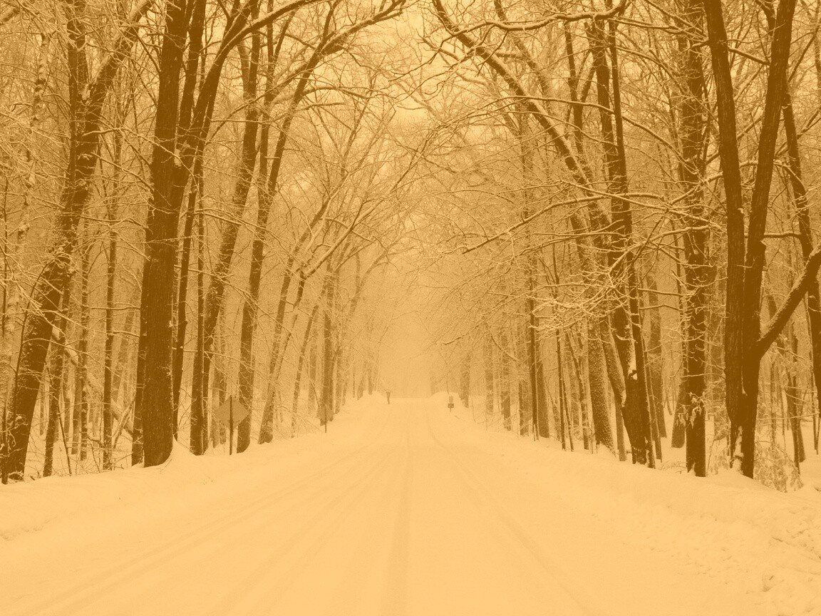 Дорога зимой в парке обои