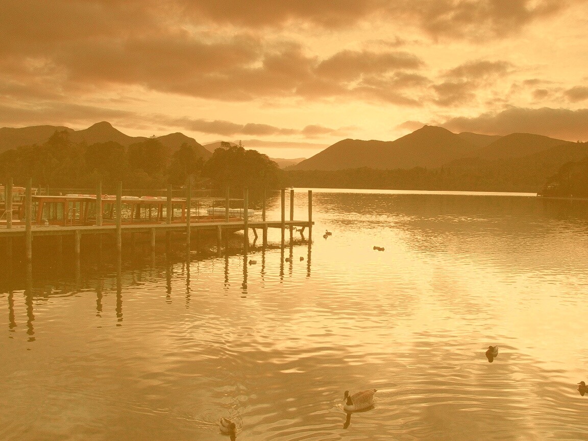 Причал на озере и утки обои