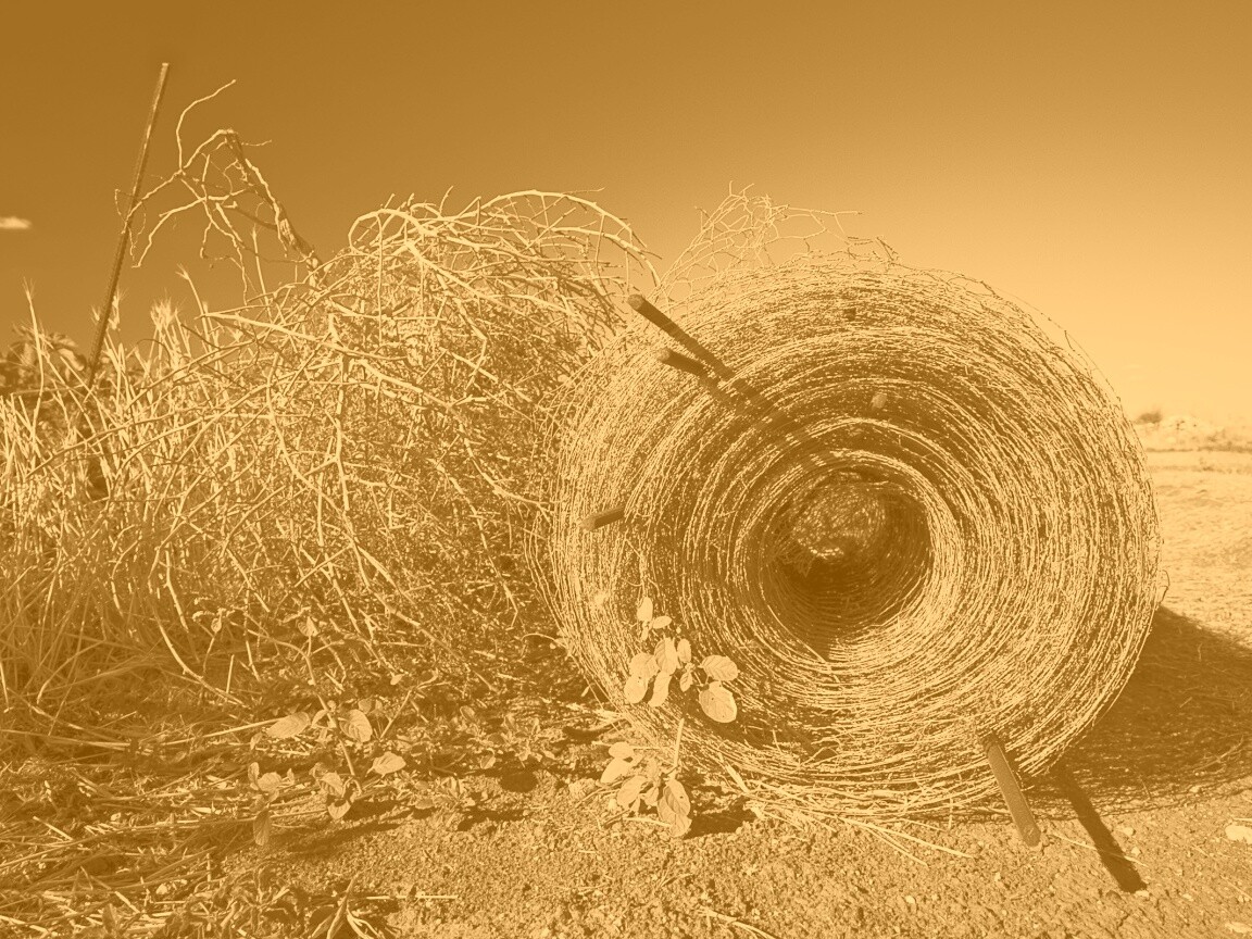 Клубок сена обои