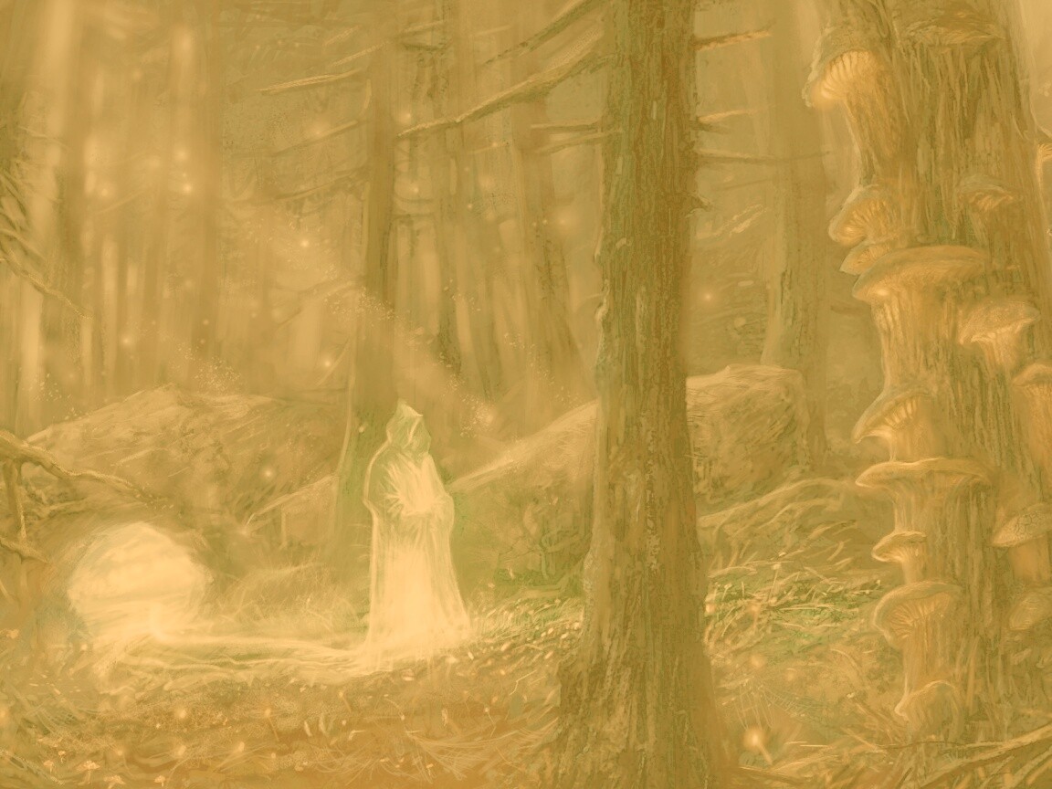 Маг света в лесу обои