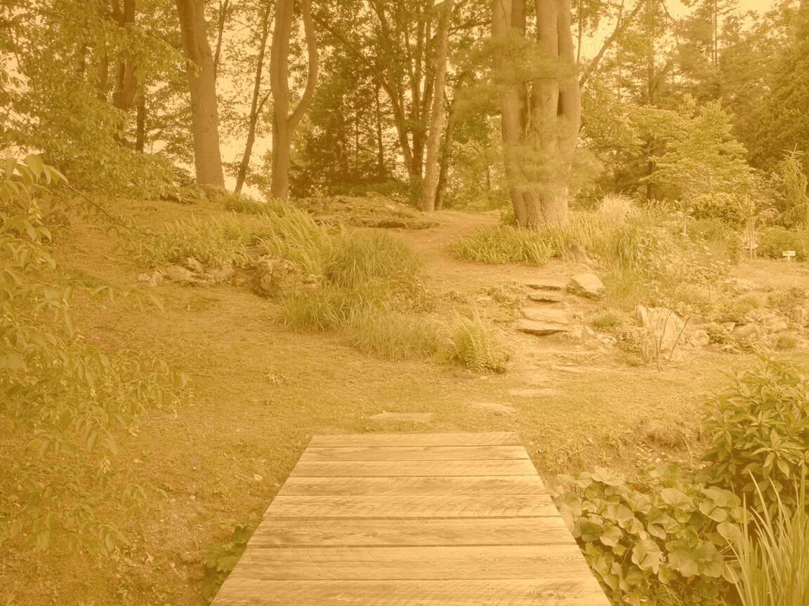 Лесные тропы обои