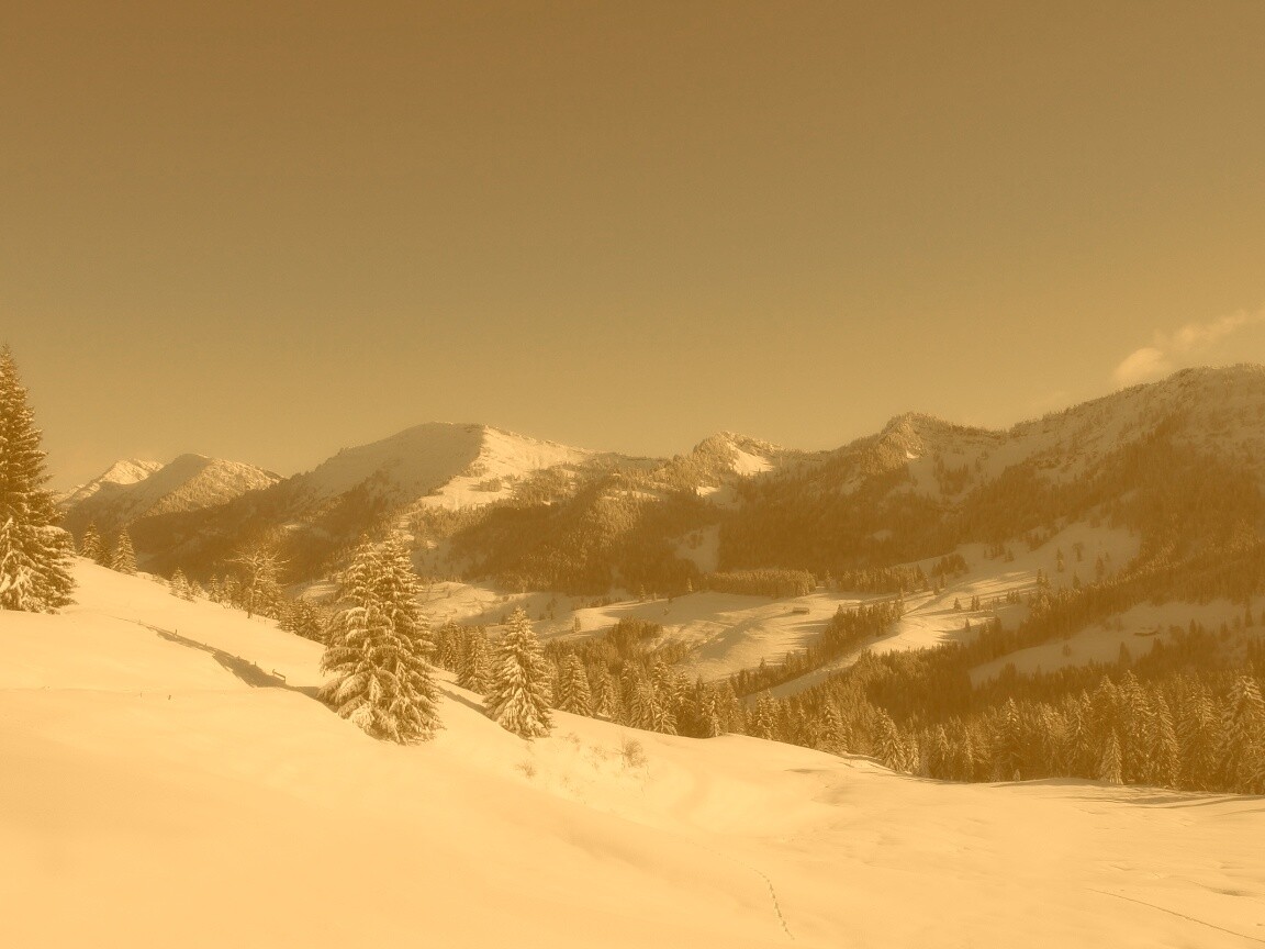 Лес в горах обои