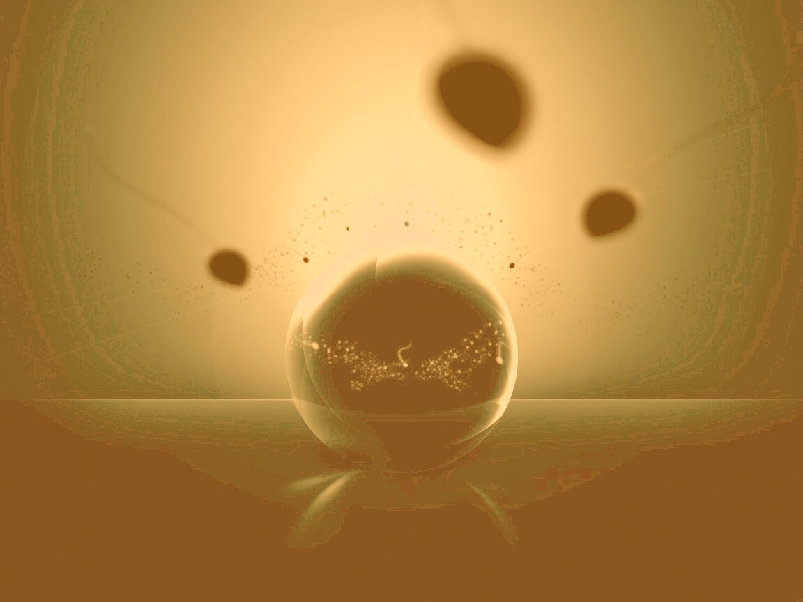 Оплодотворение обои