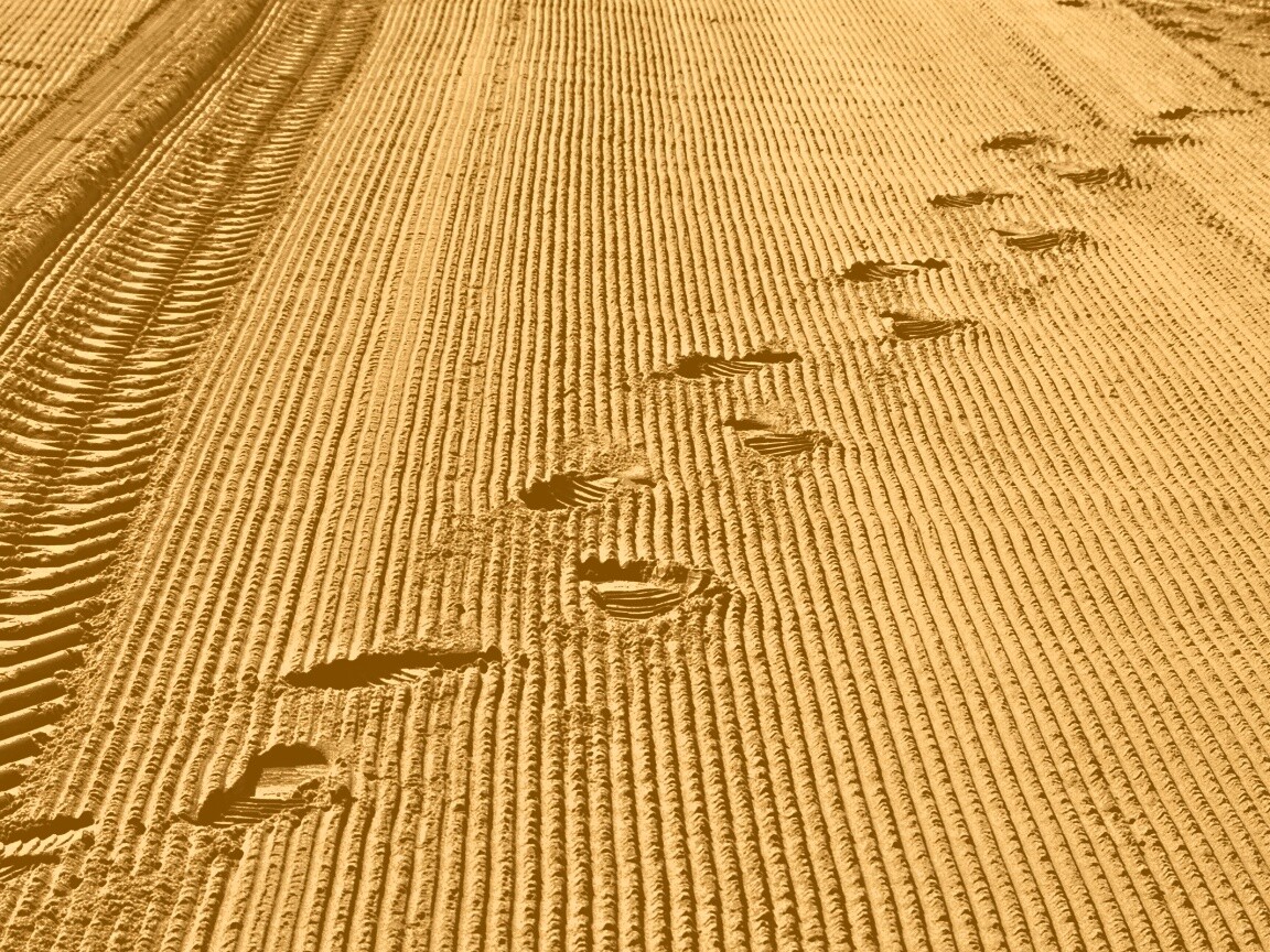 Следы на песке обои