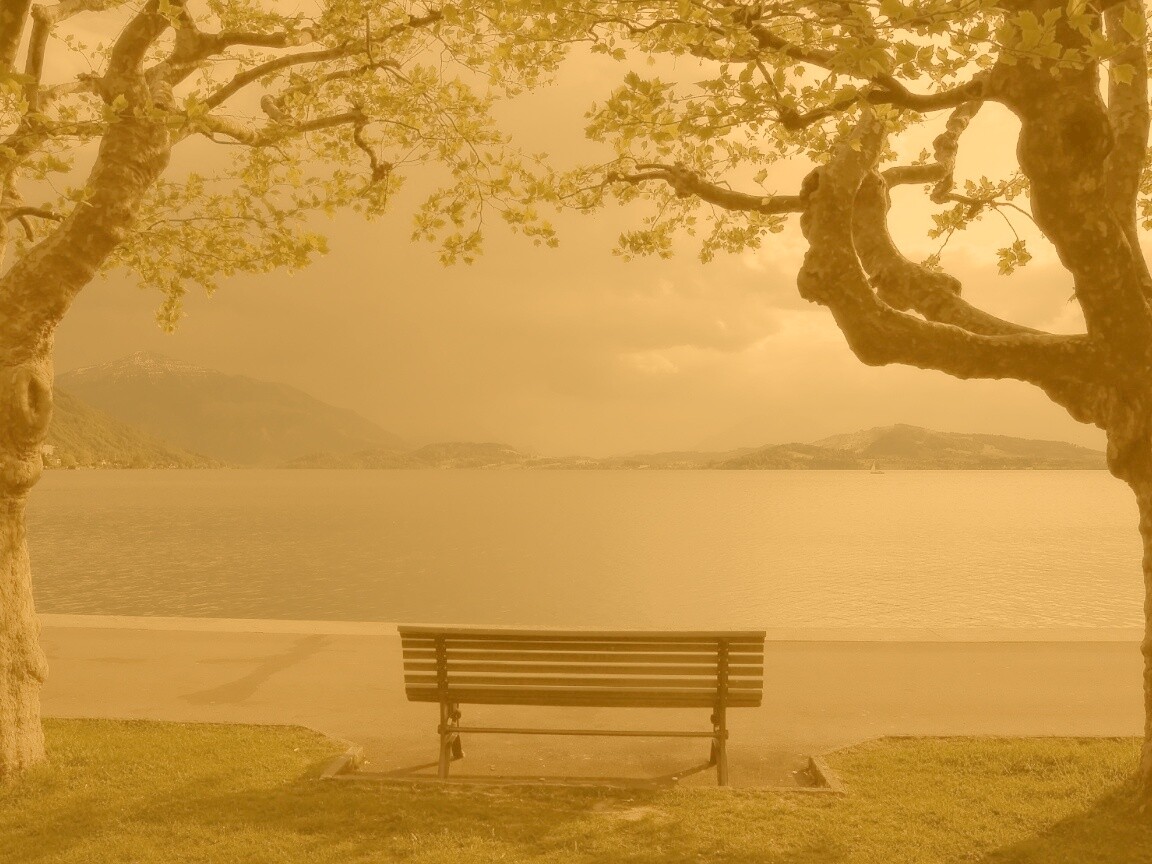 Скамейка на берегу обои