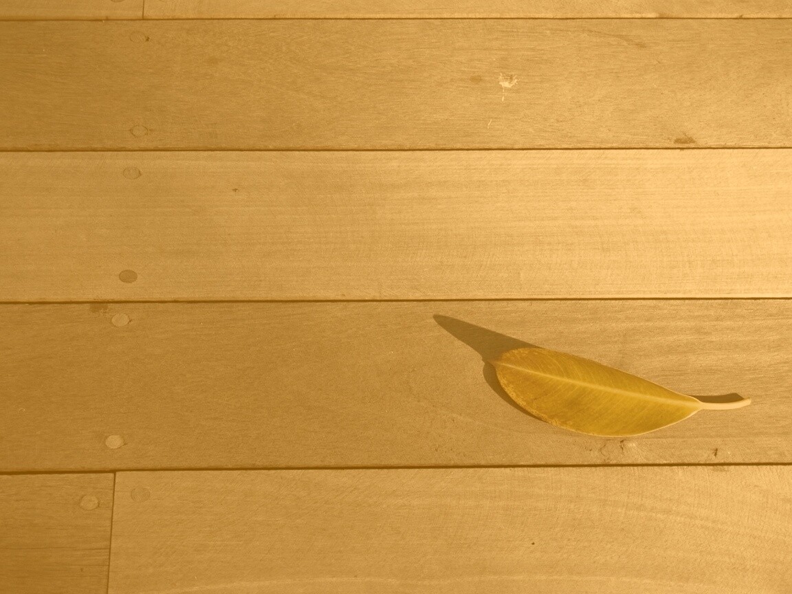 Лист на деревянном полу обои