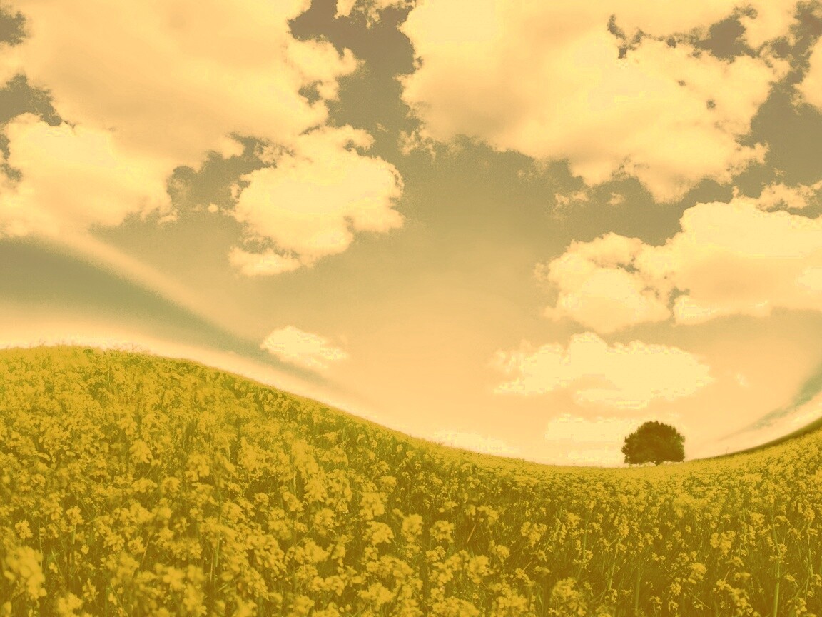 Искаженный мир обои