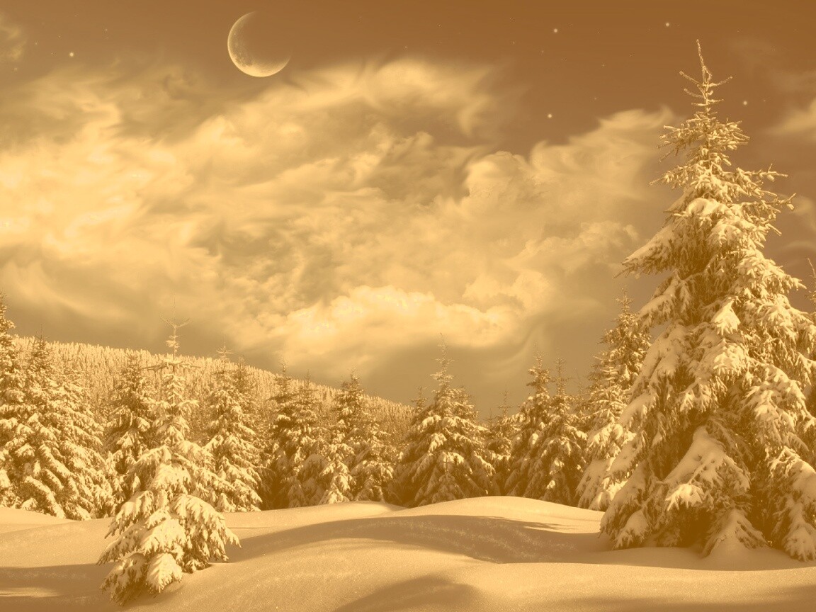 Зимний еловый лес обои