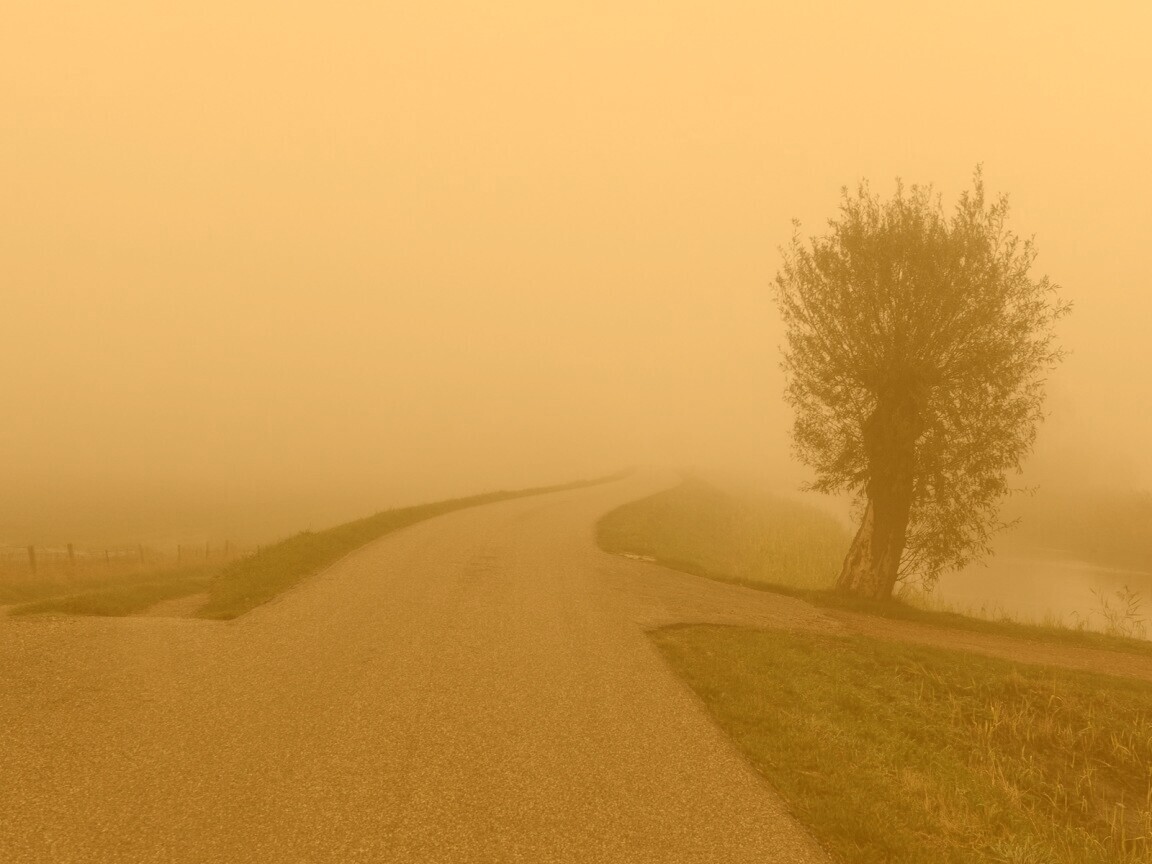 Дорога растворяется в тумане обои