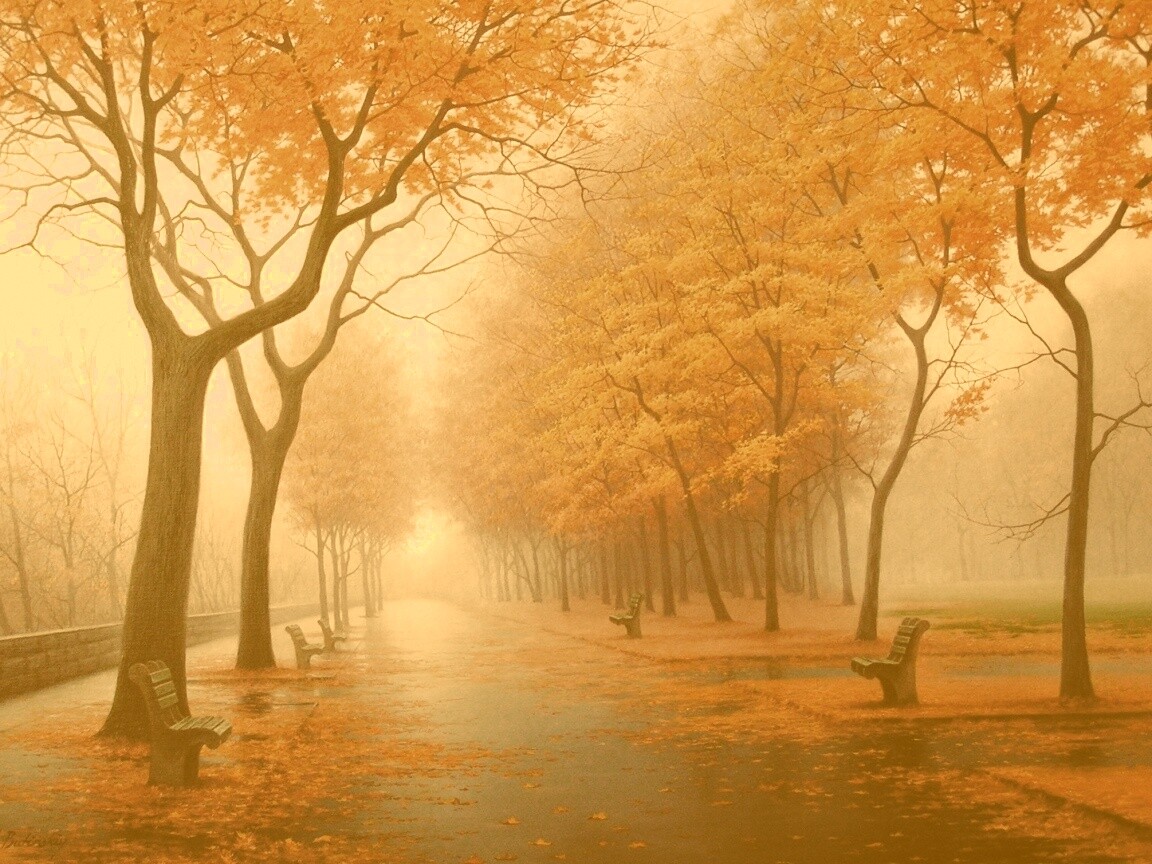 Дорога в осень обои