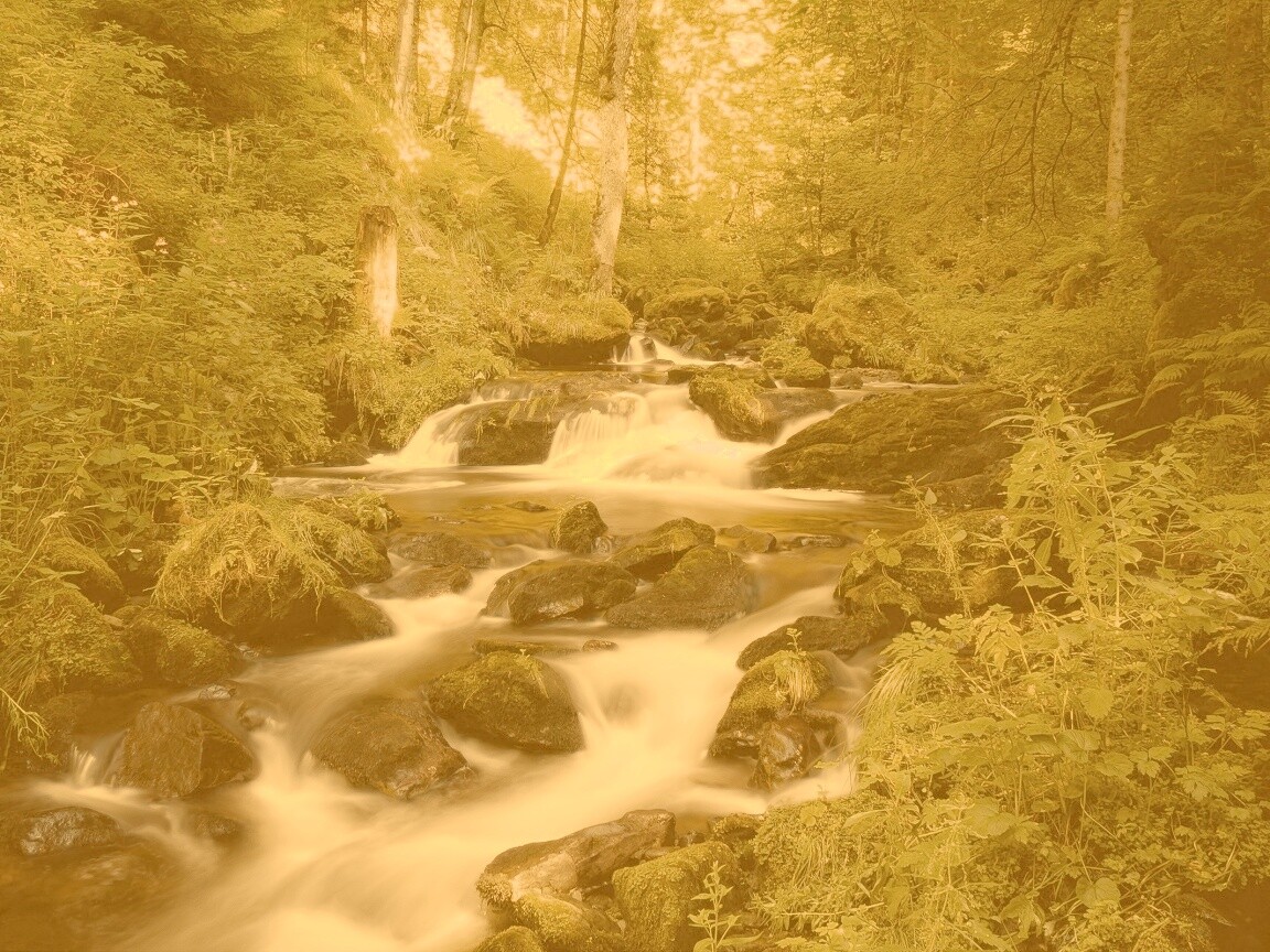 Живописный лесной водопад обои