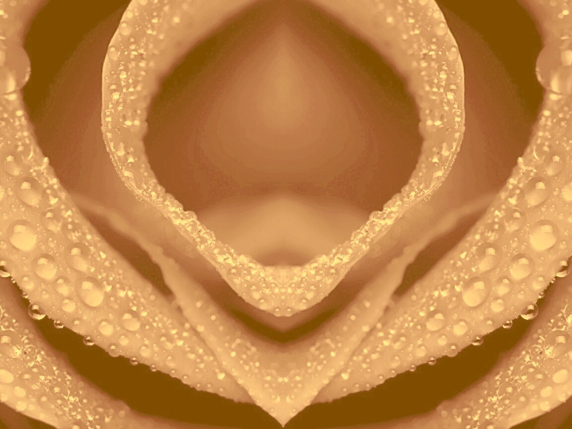 Цветочный зев обои