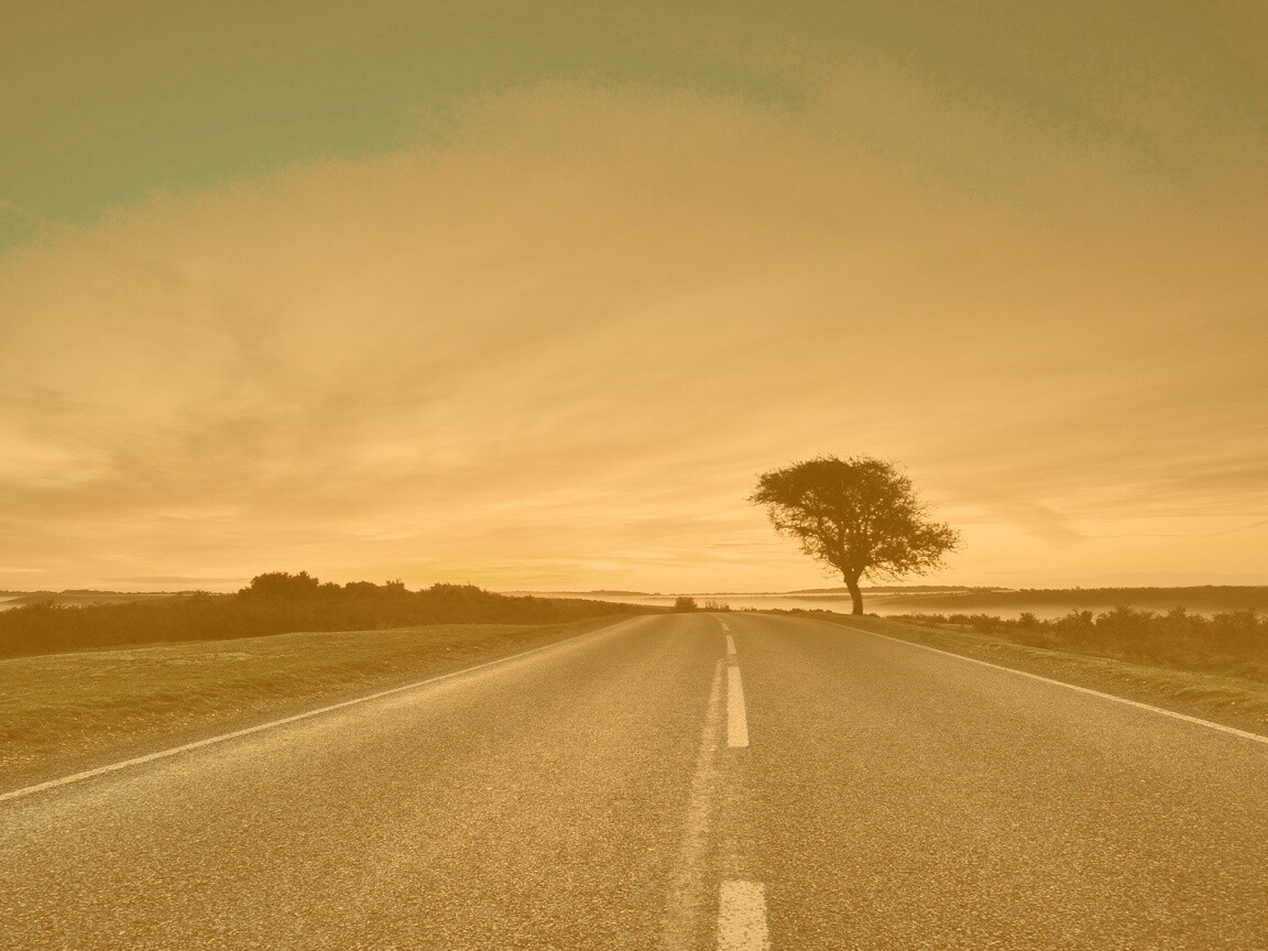 Дорога обои