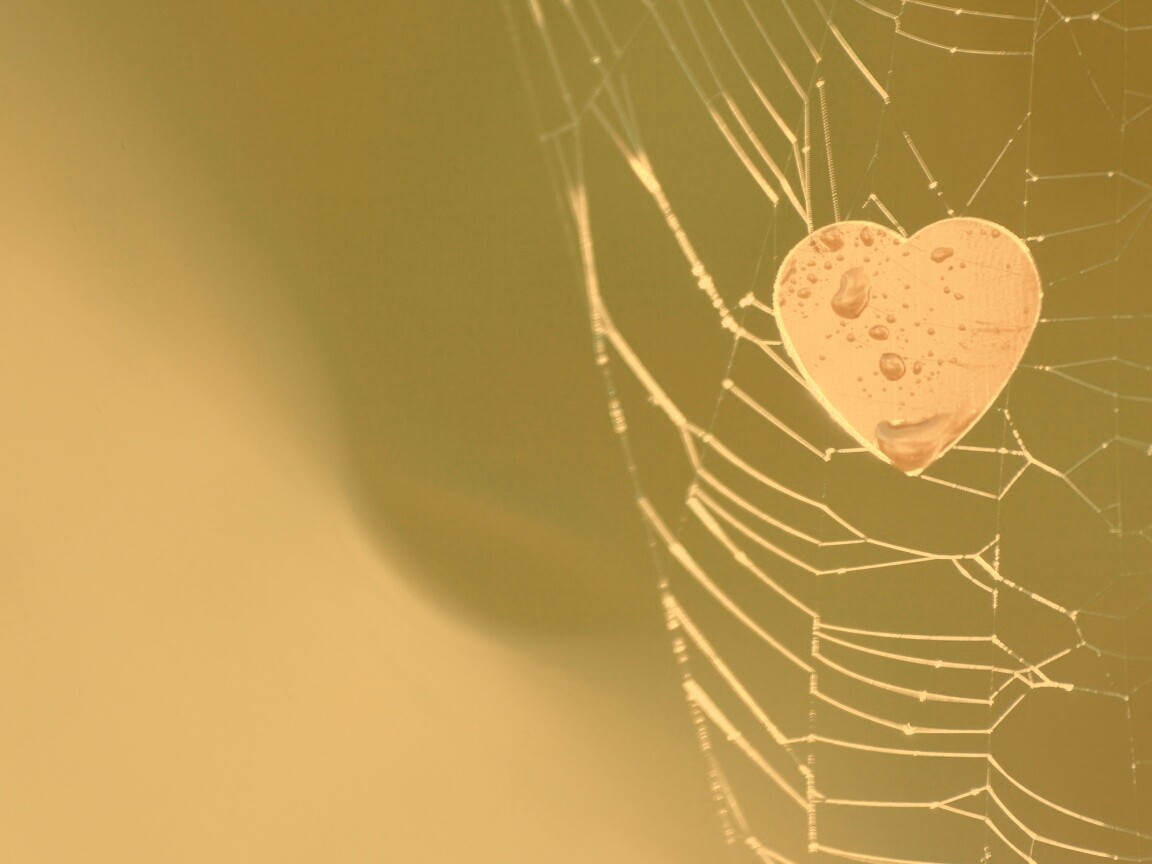 Сердце в паутине обои