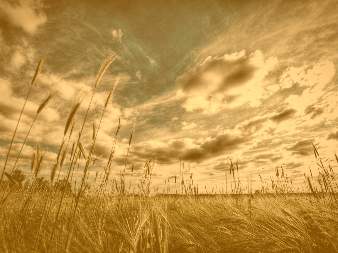 HDR Поле обои