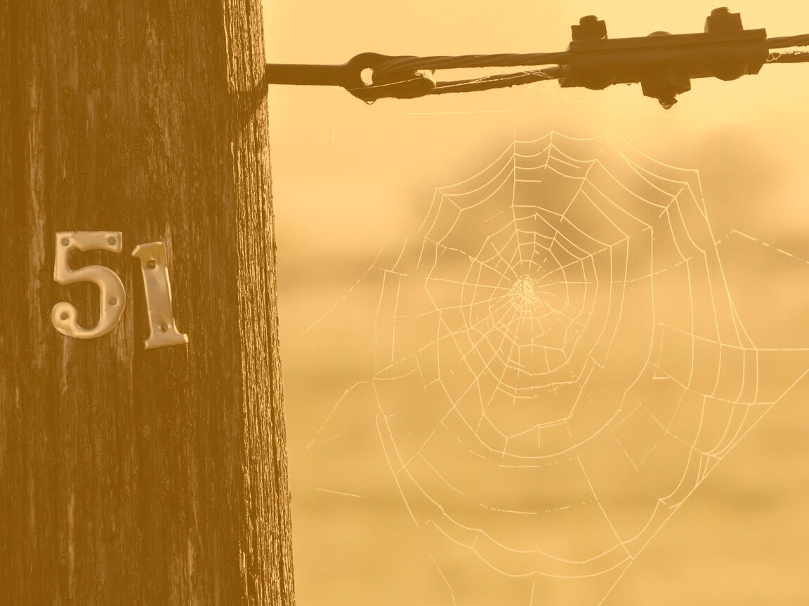 Паутина 51 обои