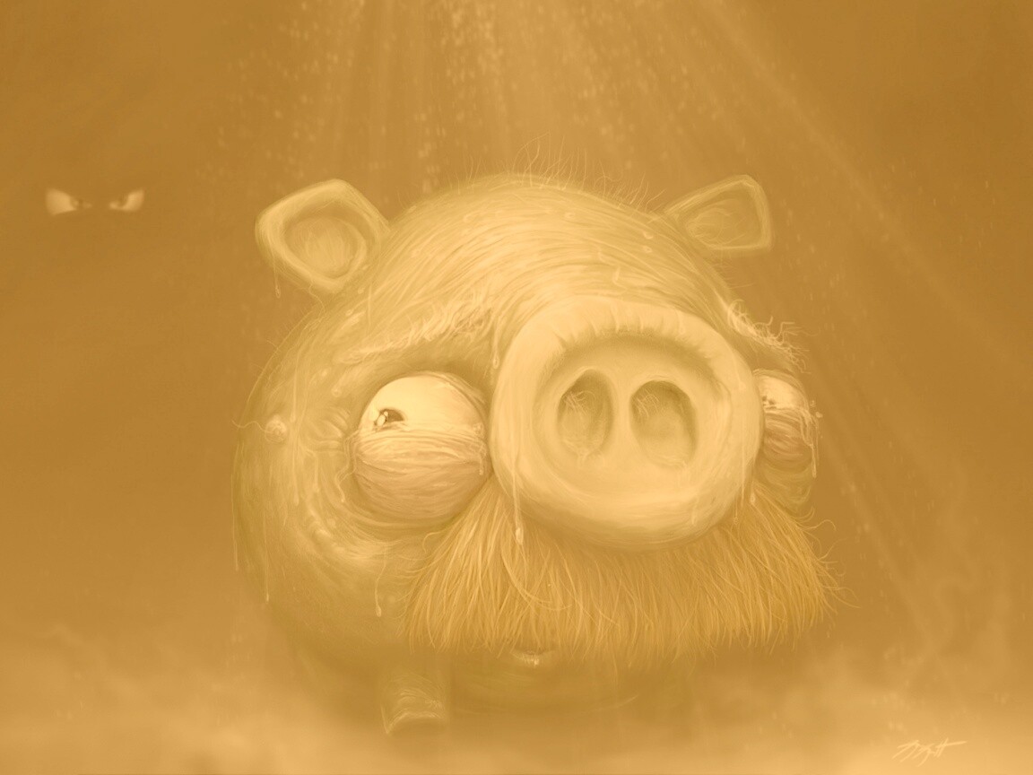 Свинья из Angry Birds обои