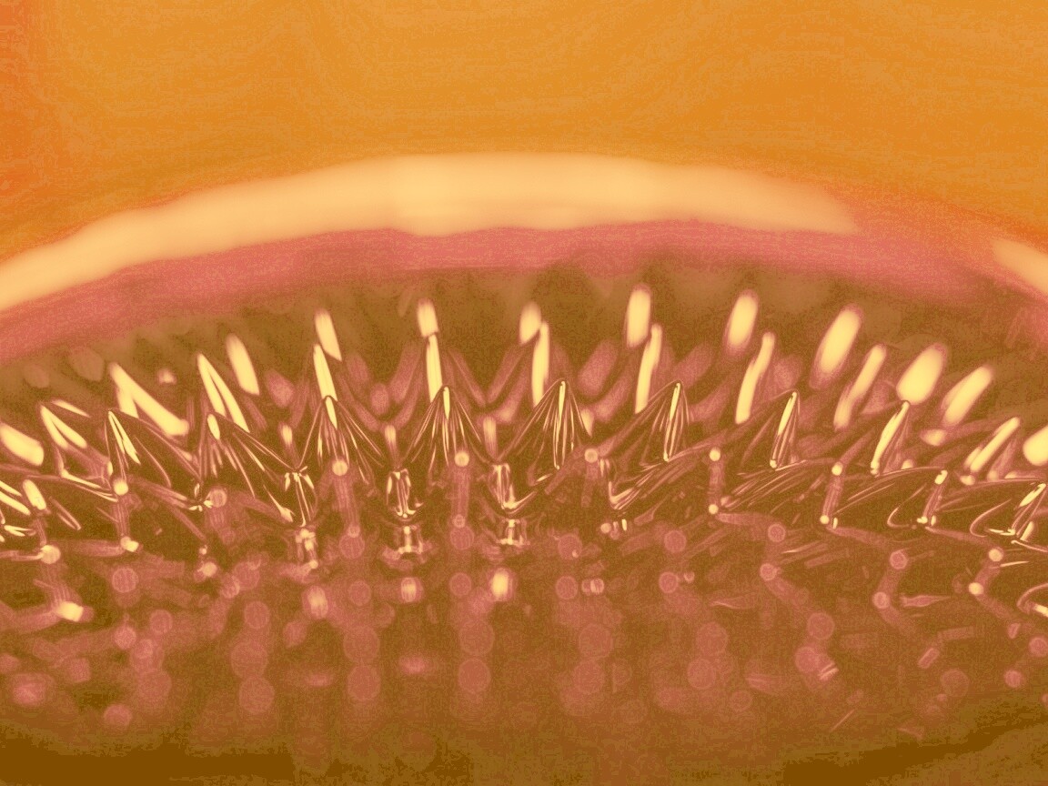 Игры с магнитной жидкостью обои