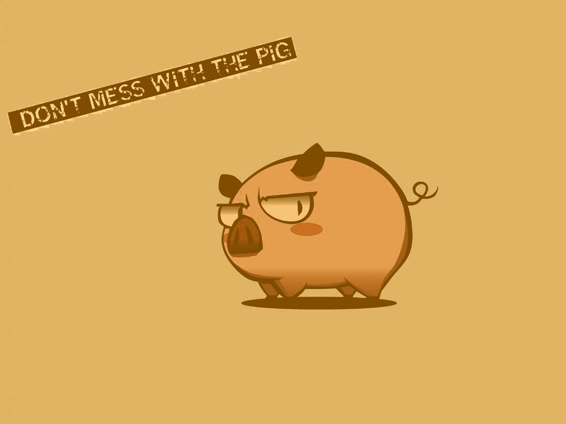 Не путайся со свиньей обои