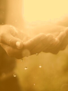 Дождь в ладонях обои