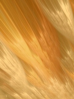 Радужные цвета обои