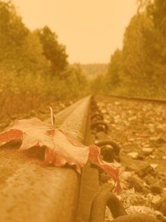 Ржавые рельсы обои