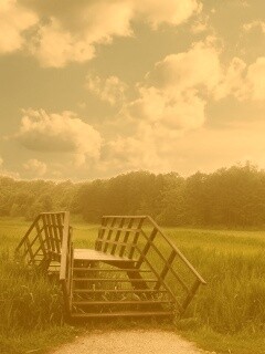 Мостик обои